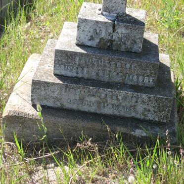 MOORE Mary -1890