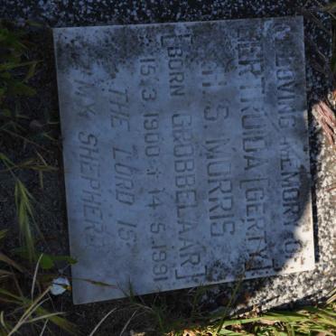 MORRIS Gertruida H.S. nee GROBBELAAR 1900-1991