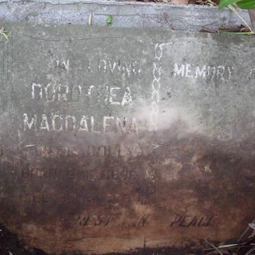 McLACHLAN Dorothea Magdalena 1896-1979