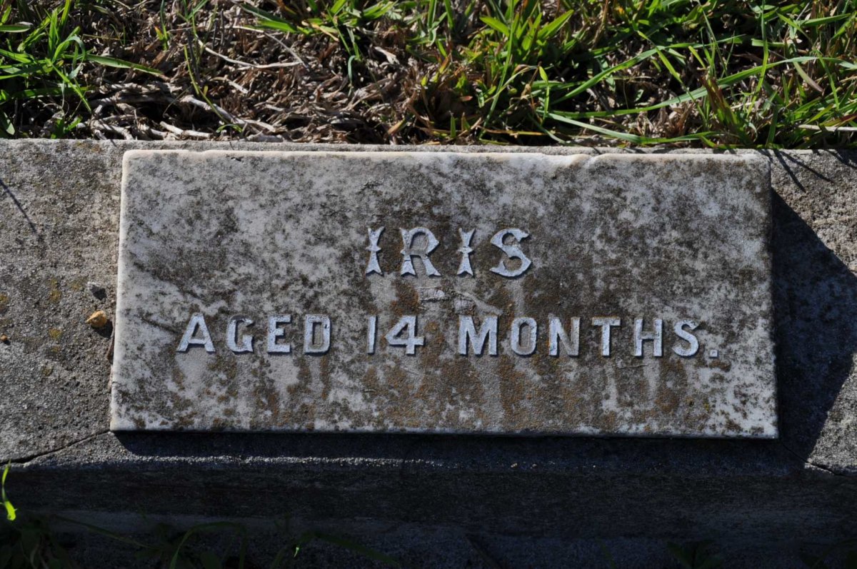 ? Iris
