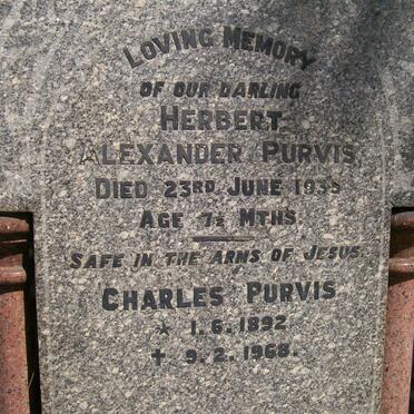 PURVIS Herbert Alexander -1935 :: PURVIS Charles  1892-1968