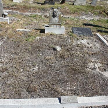 Overview of ROOS-graves