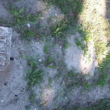 STOUTZ Benjamin Munson -1933