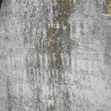 SCHULTZ Harold Walter 1894-1895