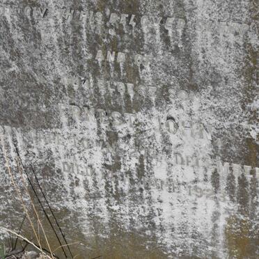 SCHULTZ Ernest John 1877-1923