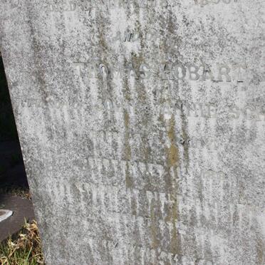 SCHULTZ Thomas Hobart 1881-1909