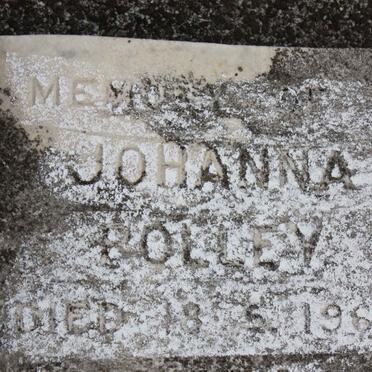 VOS Petrus Johannes Pentz -1942 :: POLLEY Johnna -1968 :: BROWN Anna Beatrice 1890-1975 