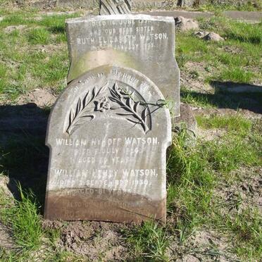 WATSON William Nyhoff -1924 :: WATSON William Henry -1930 :: WATSON Rosa Ann -1931 :: WATSON Ruth Elizabeth -1955