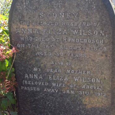 WILSON Sydney -1898 &amp; Anna Eliza -1912