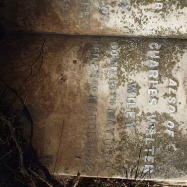 WILEY Charles Walter 1880-1942