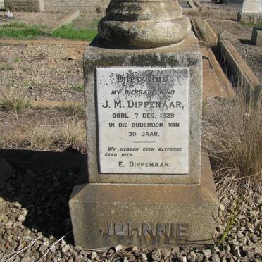 DIPPENAAR J.M. -1929