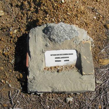 HANEKOM Martin Johannes 1900-1995