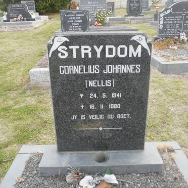 STRYDOM Cornelius Johannes 1941-1980