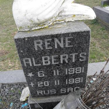 ALBERTS Rene 1981-1981