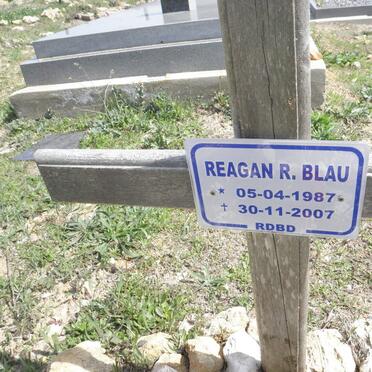 BLAU Reagan R. 1987-2007