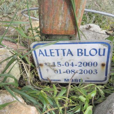 BLOU Aletta 2000-2003