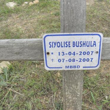 BUSHULA Siyolise 2007-2007