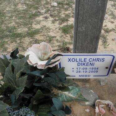 DIKENE Xolile Chris 1954-2009