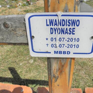 DYONASE Lwandiswo 2010-2010
