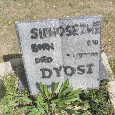 DYOSI Siphosezwe 