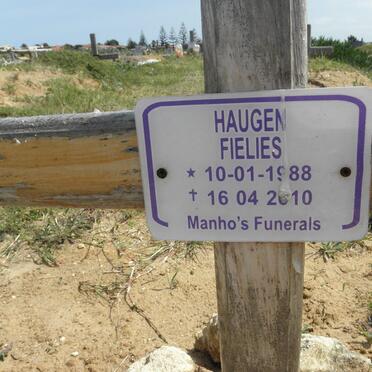 FIELIES Haugen 1988-2010