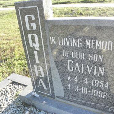 GQIBA Calvin 1954-1992