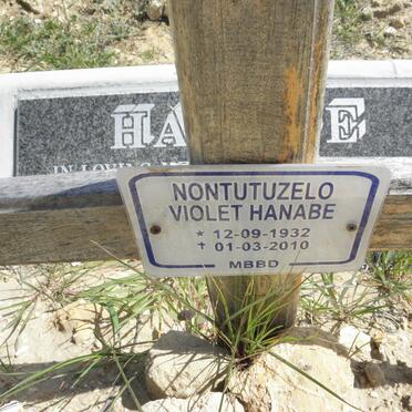 HANABE Nontutuzelo Violet 1932-2010