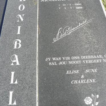 HONIBALL Nicolaas Du Plessis 1930-1998