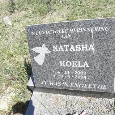 KOELA Natasha 2002-2004