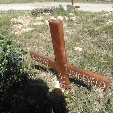LINGEVELD Katie 