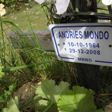 MONDO Andries 1964-2008