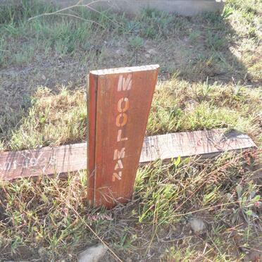 MOOLMAN ?? 1928-1993