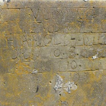 MULLER Harold 1959-1975