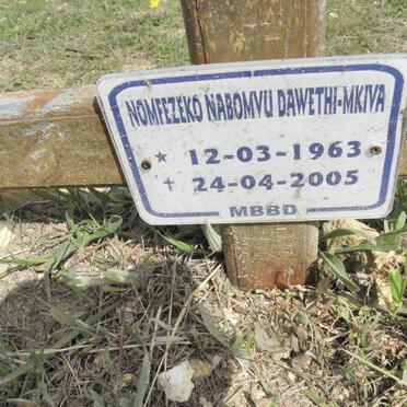 MKIVA Nomfezeko Nabomvu, Dawethi 1963-2005