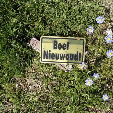 NIEUWOUDT Boet