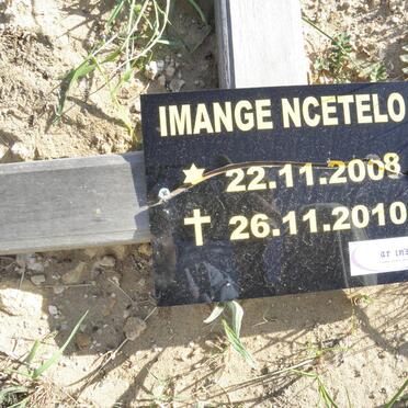 NCETELO Imange 2008-2010