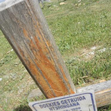 NTSHINGANA Doekies Gertruida 1969-?