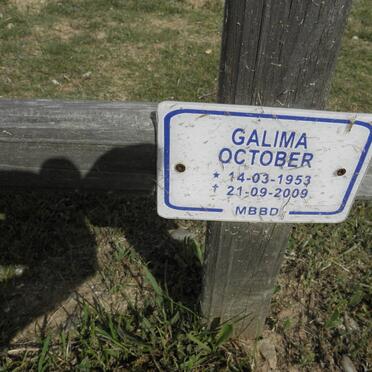 OCTOBER Galima 1953-2009