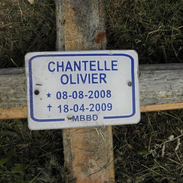 OLIVIER Chantelle 2008-2009