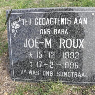 ROUX Joé-M. 1993-1996