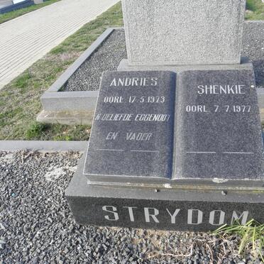 STRYDOM Andries -1973 &amp; Shenkie -1977