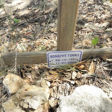 TSHALI Bongiwe 1981-2006