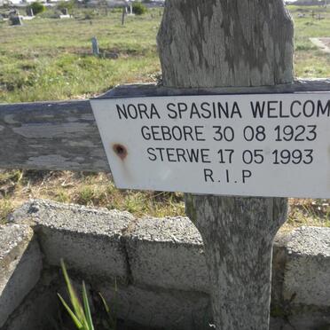 WELCOME Nora Spasina 1923-1993