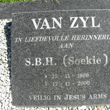 ZYL S.B.H., van 1909-2000