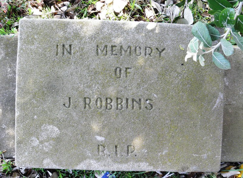 ROBBINS J.