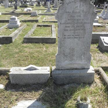 RILEY Alexander Cotton 1849-1922 &amp; Emma Sarah COX 1851-1916