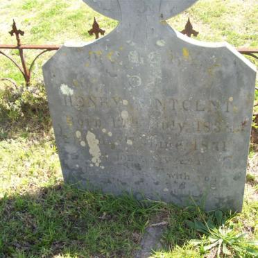 VINCENT Henry 1838-1871
