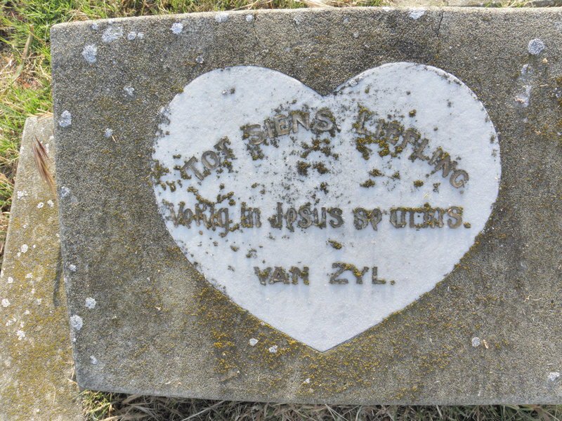 ZYL, van
