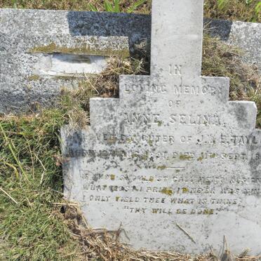 TAYLOR Anne Selina 1891-1894