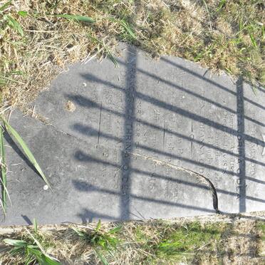 O'DEA Aousta Jorina 1874-1878 :: O'DEA Frances Catharina -1879